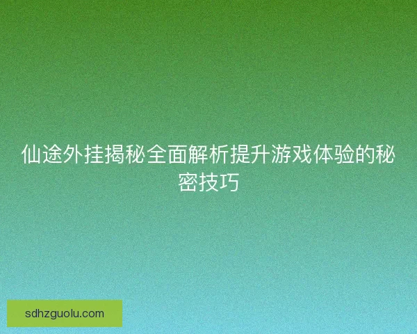 仙途外挂揭秘全面解析提升游戏体验的秘密技巧